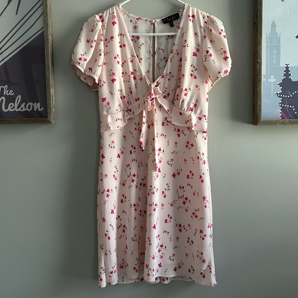 NWT Francesca’s Floral Pink Dress